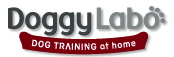 犬のしつけ Doggy Labo